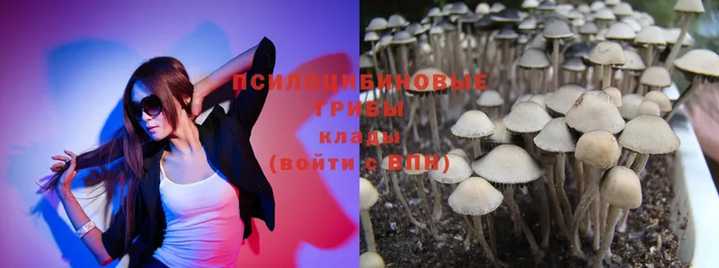 Псилоцибиновые грибы MAGIC MUSHROOMS  Будённовск 